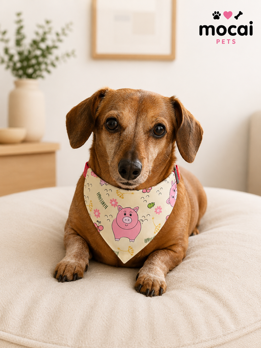 Collar Ajustable con Pañoleta para Perros