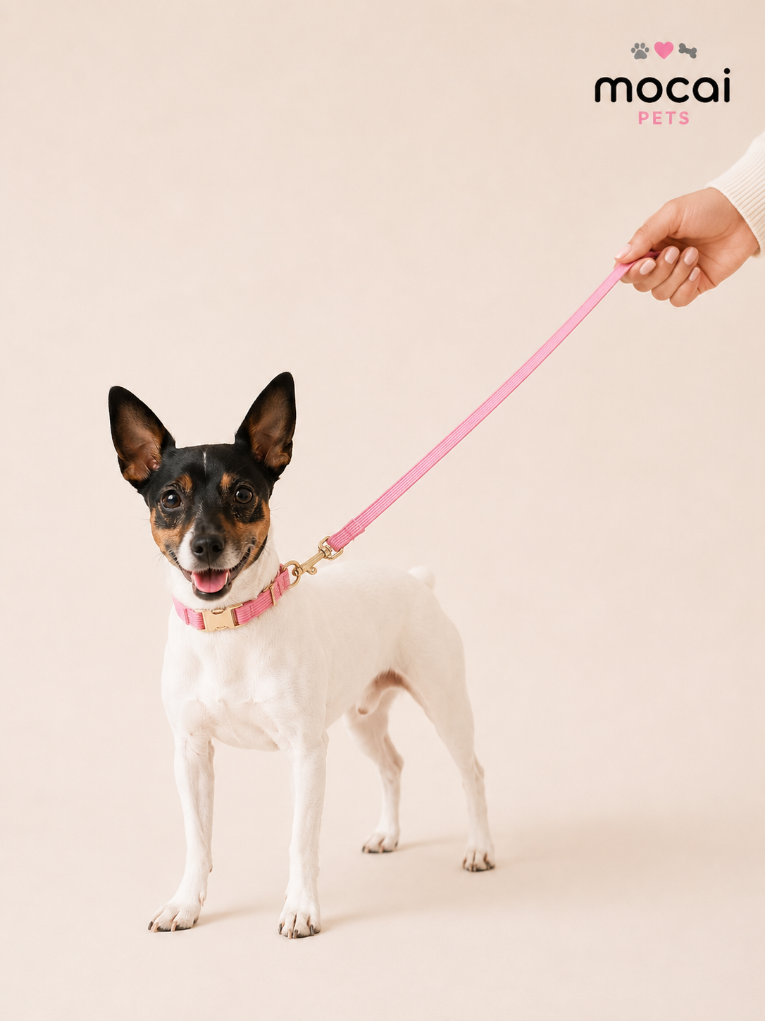 Correa para Perros con Mosquetón Metálico Premium