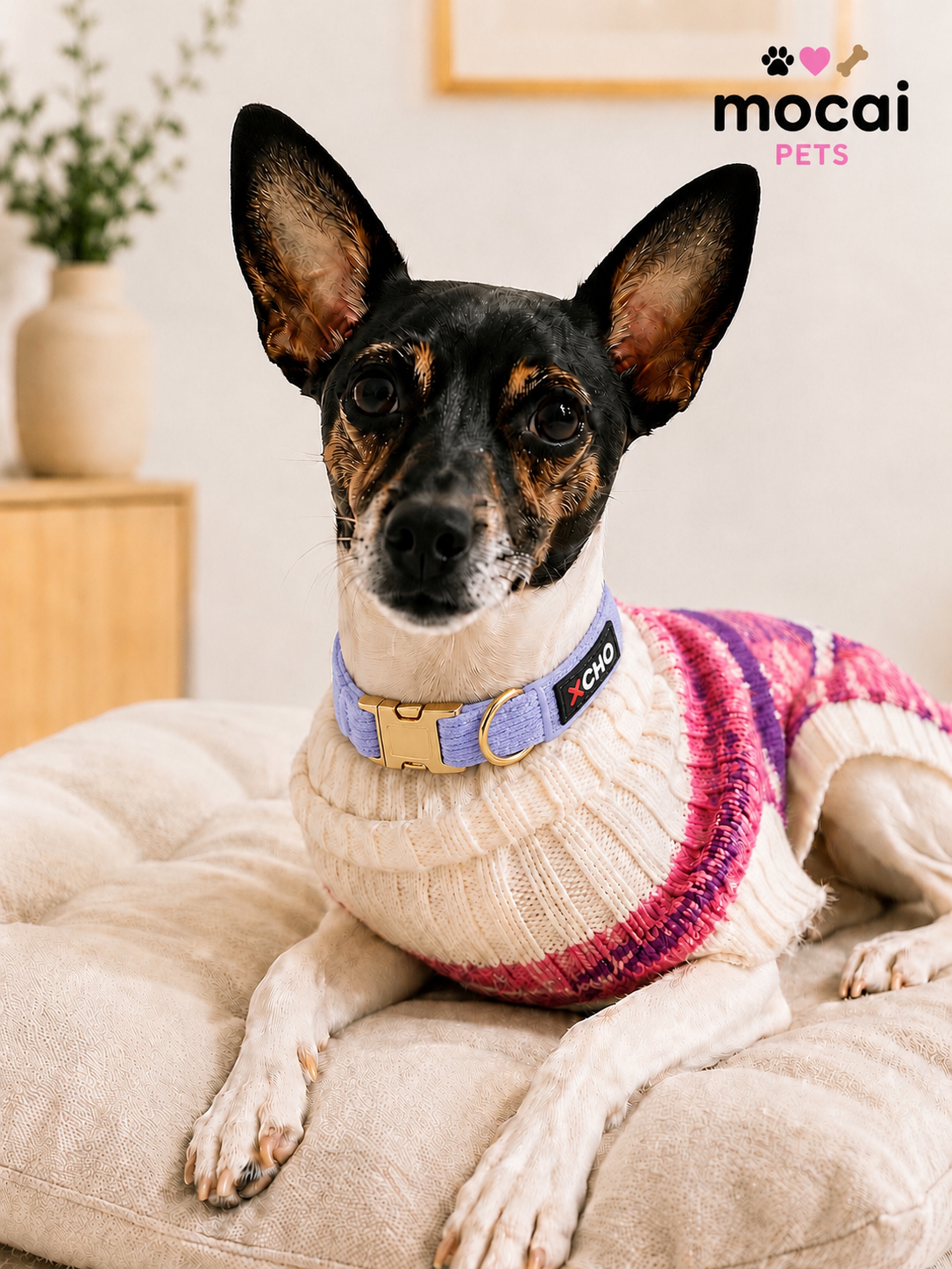 Collar Ajustable para Perros con Hebilla Metálica Premium
