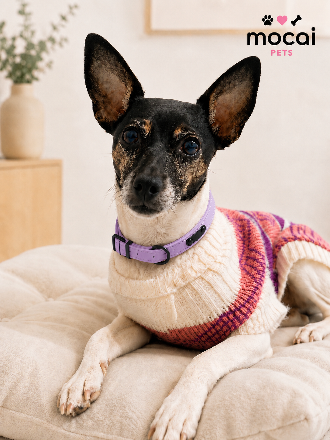 Collar de Cuero Ajustable para Perros