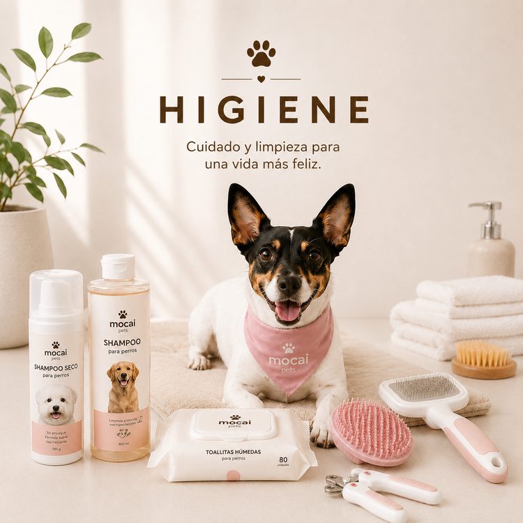 Higiene