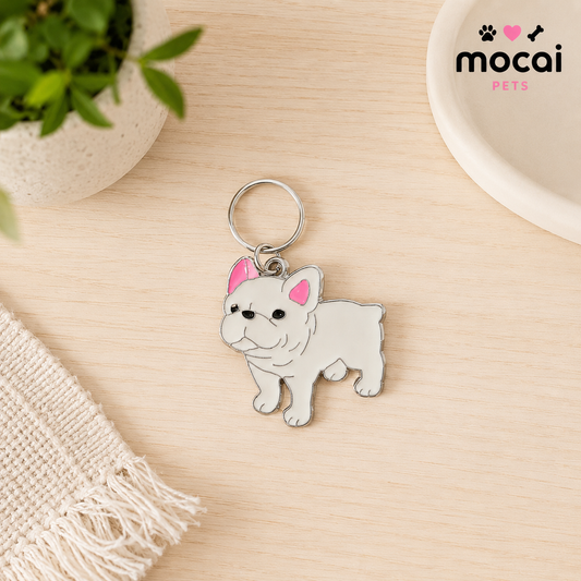 Placa Identificatoria Metálica para Perros