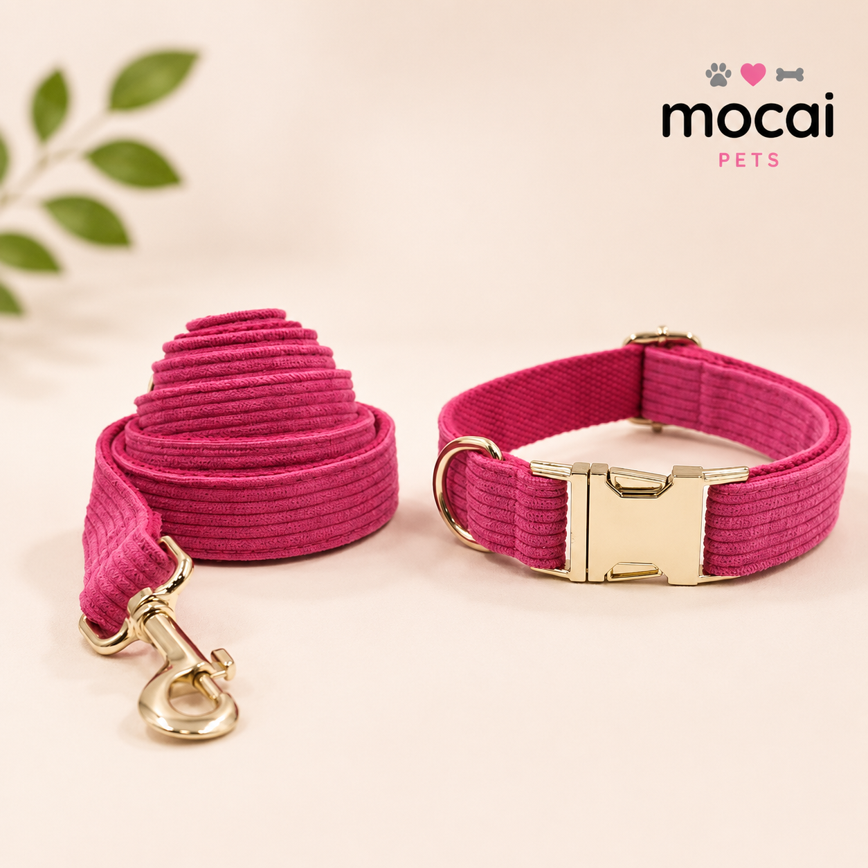 Collar Ajustable para Perros con Hebilla Metálica Premium
