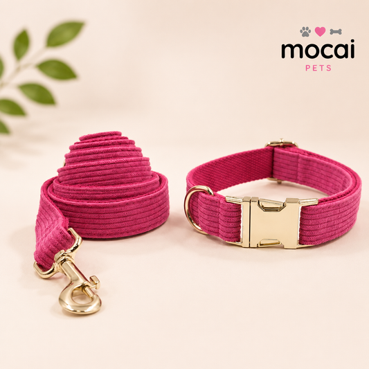 Collar Ajustable para Perros con Hebilla Metálica Premium