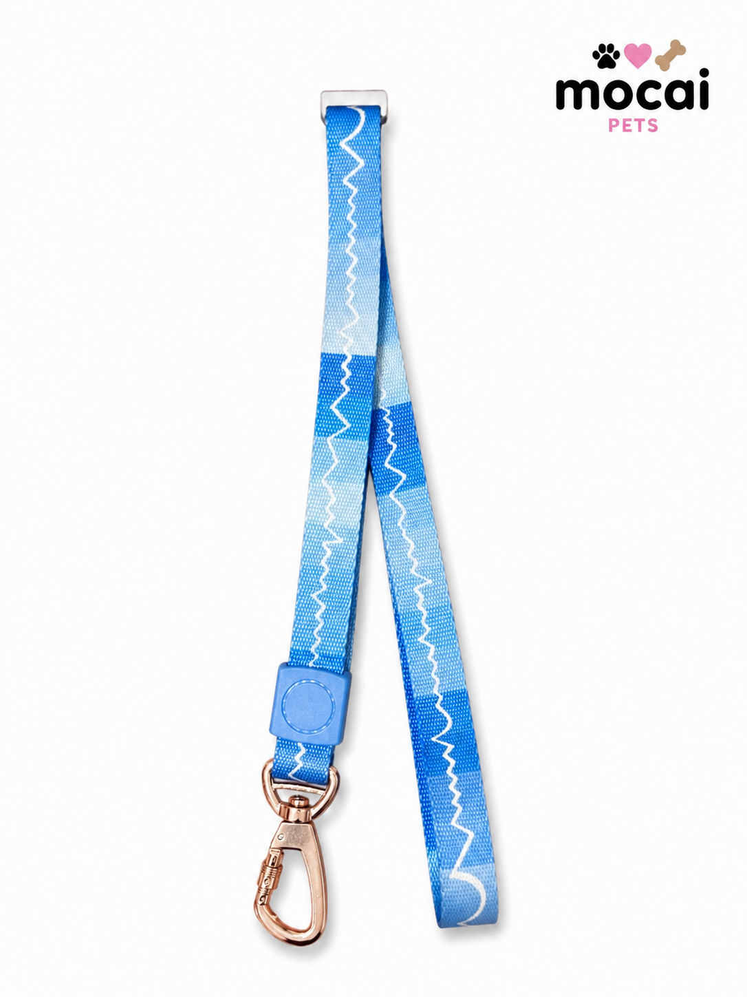 Correa para Perros – 120 cm