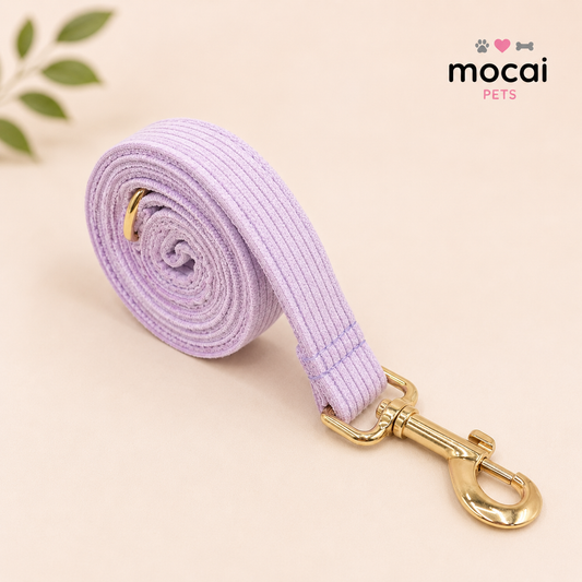 Correa para Perros con Mosquetón Metálico Premium