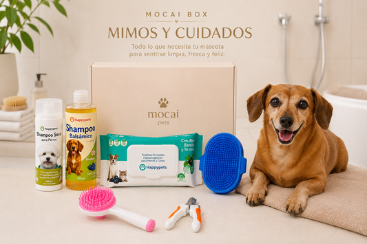 Mocai Box | Mimos y Cuidados