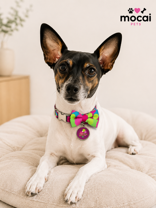 Collar con Corbatín para Perros