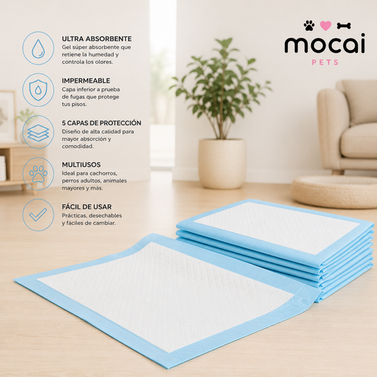 Pads Absorbentes para Perros 60 × 60 cm – Pack de 8 Unidades