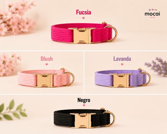 Collar Ajustable para Perros con Hebilla Metálica Premium