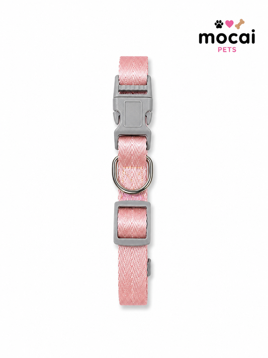 Collar Ajustable para Perros
