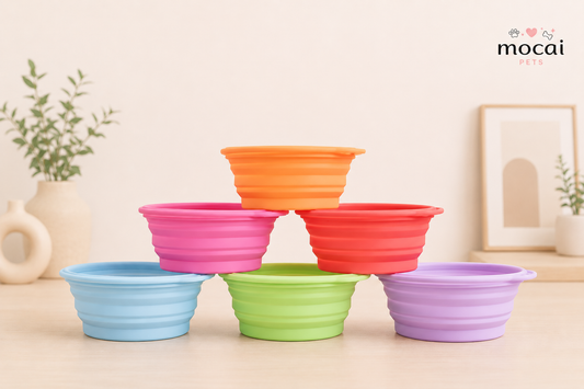 Plato Plegable de Silicona 350 ml