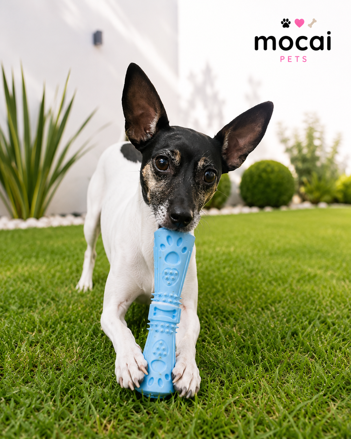 Juguete Mordedor para Perros – 15 cm