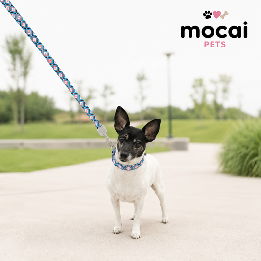 Correa para Perros con Asa de Mano – Diseño Geométrico