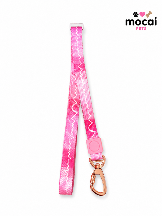 Correa para Perros – 120 cm