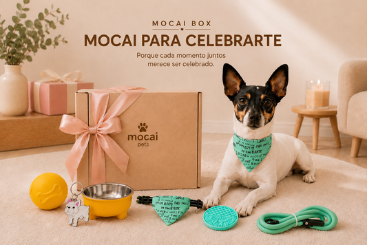 Mocai Box | Mocai para Celebrarte